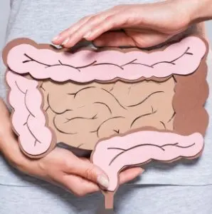 Gut bacteria produce butyrate, an important short-chain fatty acid that supports digestive health, helps control inflammation, and even aids in preventing disease.