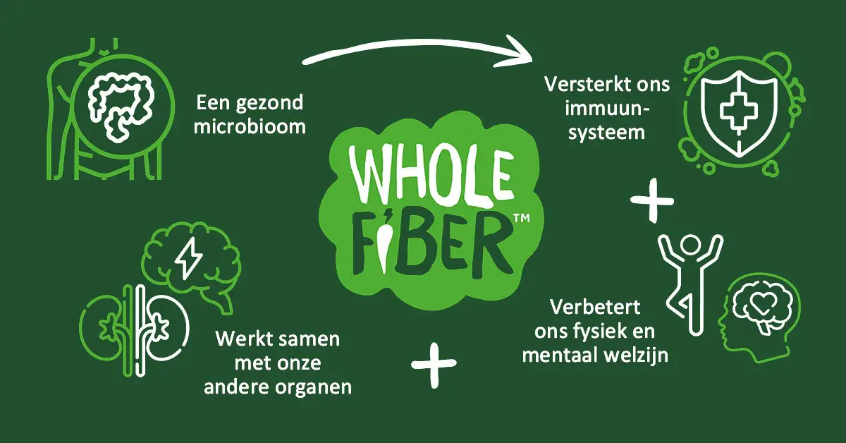 microbioom betekenis, herstellen en dieet