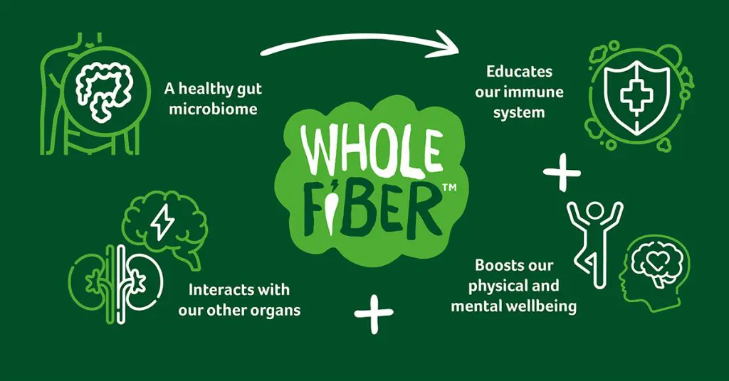 WholeFiber werking