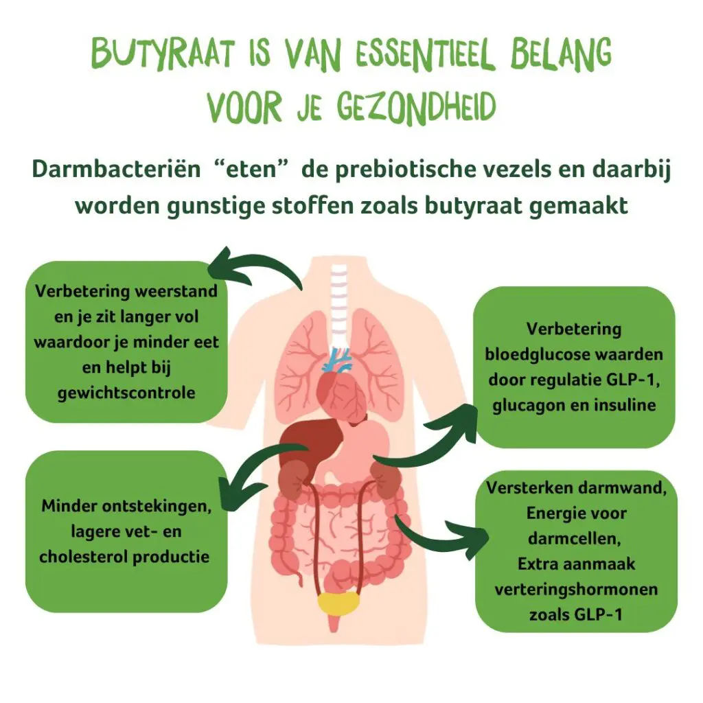 Butyraat en GLP1