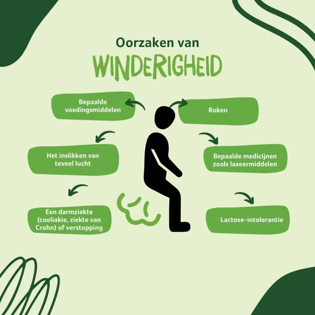 Oorzaken van winderigheid